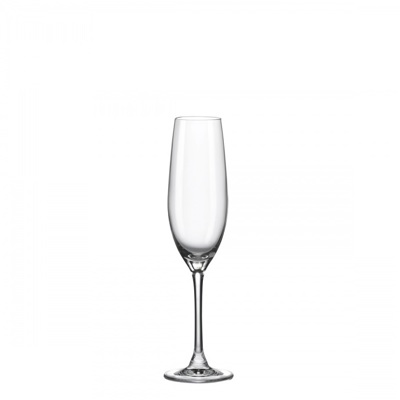 Champagneglas 20cl City Rona Glas